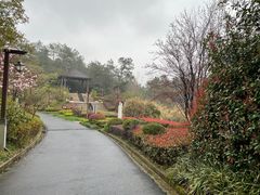 -天目湖涵田度假村