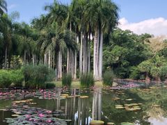 -中国科学院西双版纳热带植物园