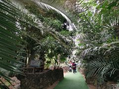 -呀路古热带植物园