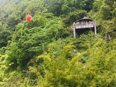 -靖西鹅泉风景区