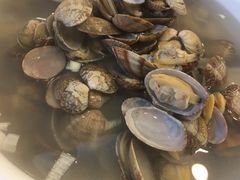 -陶然饺子城(奥体中路店)