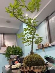 -斐尔国际皮肤管理中心