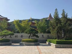 -龙口南山旅游景区