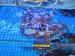 -日照大牌檔•小船海鲜(万平口店)