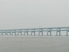 -黑石礁公园