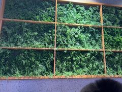 -林溪晚亭脆皮烤鱼(藁城店)