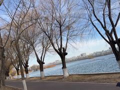 -鲁商雅高铂尔曼大酒店·铂丽自助餐厅