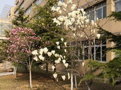-大连外国语大学(旅顺校区)