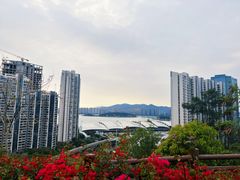 -狐尾山公园