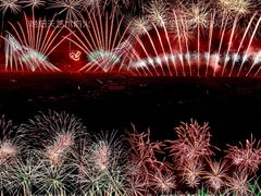 -南宁花花大世界景区