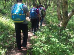 -白草畔自然风景区