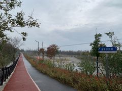 -上海长兴岛郊野公园