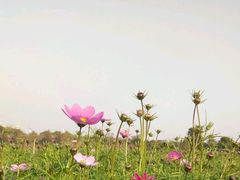 -夏津德百度假村温泉