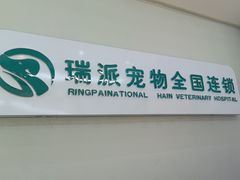 -瑞派宠物医院·中兽医专科(中央商城分院)