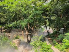 -北京西山国家森林公园