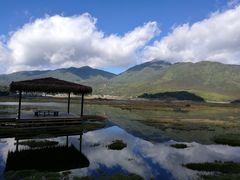 -腾冲北海湿地