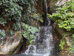 -金鸡山公园