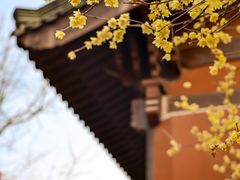 -钱王祠