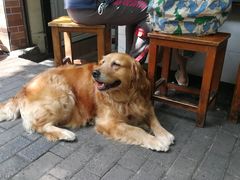 -大时代美食面馆