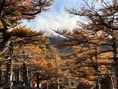 -富士山吉田線五合目