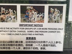 -TrueLove @ Neverland (Husky Cafe)