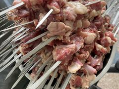 -鑫艺宠物美容培训学校