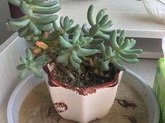 -中油泰富国际酒店-中餐厅