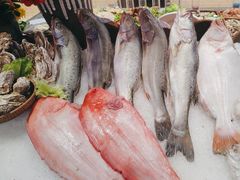 -鑫复盛皇嘉海鲜酒店
