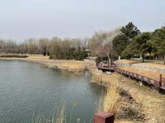 -北坞公园
