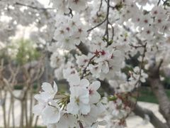 -青岛鑫江温德姆酒店