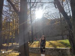 -阳台山自然风景区