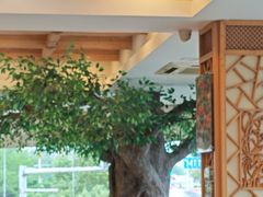 -今一靓汤.顺德菜东莞三十年老字号(厚街店)