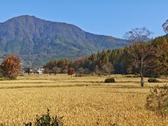 -塔川景区