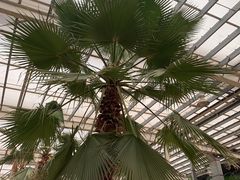 -龙达温泉生态城