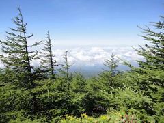 -富士山吉田線五合目