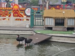 -天津市峰山药王古寺