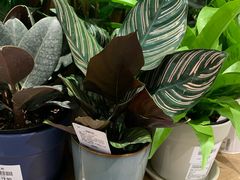 -鹿岛会员店 (龙湖三千集天街店)