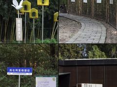 -同里国家湿地公园