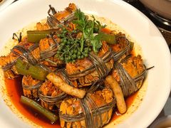 -杨氏青龙虾·螃蟹(托乐嘉店)