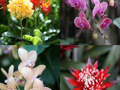 -上海辰山植物园