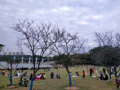 -东莞植物园