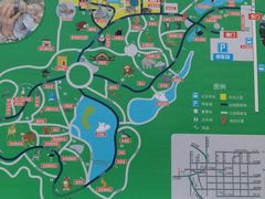 -辛玛王国游乐园