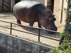 -合肥野生动物园