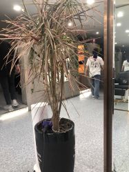 -那茉 Hair Salon
