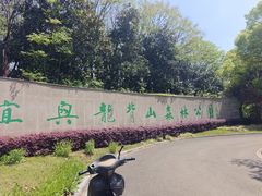 -宜兴龙背山森林公园