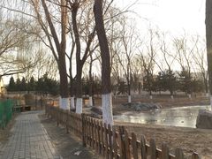 -东升八家郊野公园