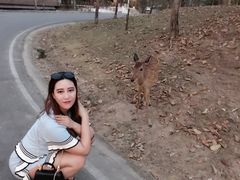 -清迈夜间动物园