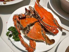 -映像威海·威海宴(威高广场店)