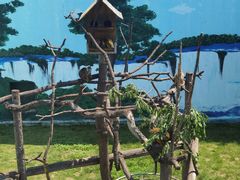 -西霞口神雕山野生动物世界