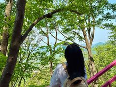 -帽儿山风景区